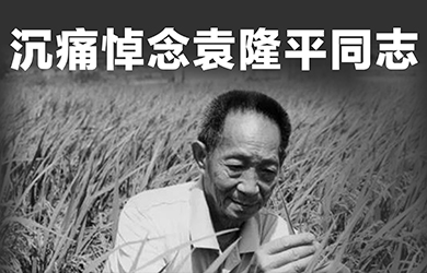 国产福利一区二区三区在线视频举行袁隆平院士追思会